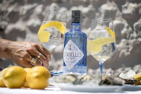 Citadelle gin + koktejl Gin Tolnic s citronem 